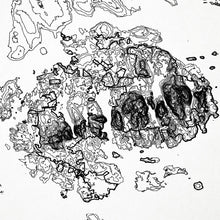 Load image into Gallery viewer, Close-up of black labels and contour lines for Acadia National Park poster with map art.