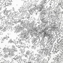 Load image into Gallery viewer, Close look at the Adirondack Mountains topographic map art. Clean lines give it a modern and minimalist style.