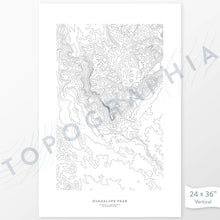 Load image into Gallery viewer, Vertical orientation Guadalupe Peak poster with topographic map design.