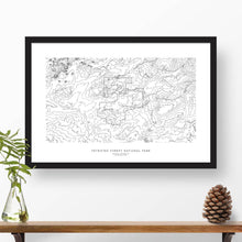 Load image into Gallery viewer, Map wall decor in a black frame. Contour lines of Petrified Forest National Park are drawn on a white background. Text below the map can be customized to create custom adventure art.