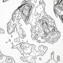Load image into Gallery viewer, Zoomed in view of the San Juan Islands, Washington poster with a topographic map.
