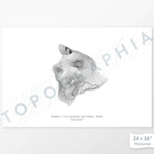 Load image into Gallery viewer, Horizontal Hawai&#39;i Volcanoes National Park poster with topography.
