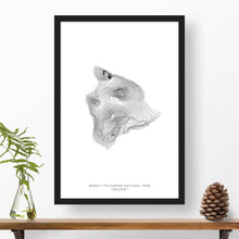 Load image into Gallery viewer, National park print of Hawai&#39;i Volcanoes with black and white topography in a black 24x36 vertical frame.
