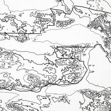 Load image into Gallery viewer, Close-up of black labels and contour lines for Joshua Tree National Park poster with map art.
