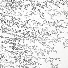 Load image into Gallery viewer, Close up of Teddy Roosevelt National Park decorative map.
